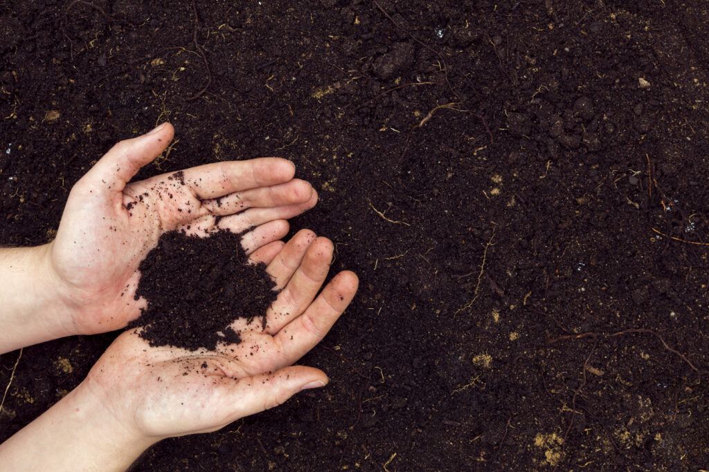 los mejores métodos para regar plantas
